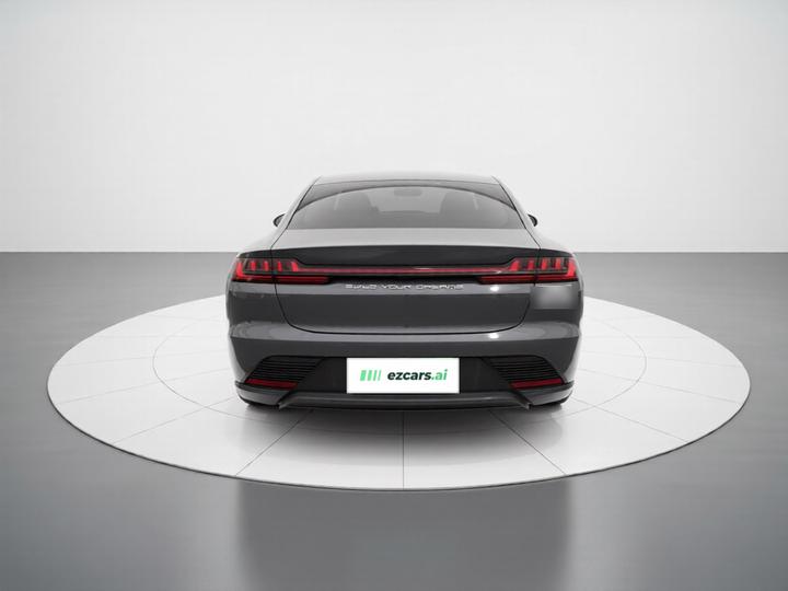 Han 2020 EV AWD Performance Flagship photo 3