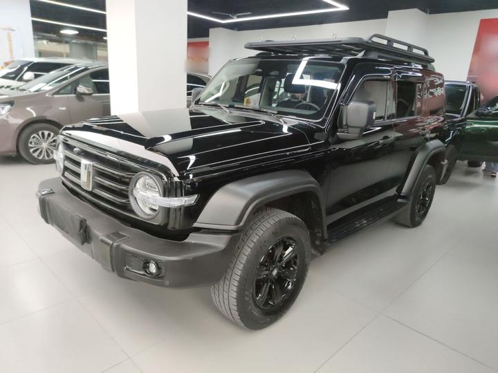 300 2023 Off-road 2.0T Conqueror