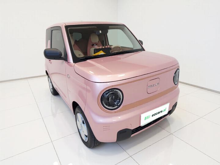 2024 Panda mini 200km Endurance Bear photo 3