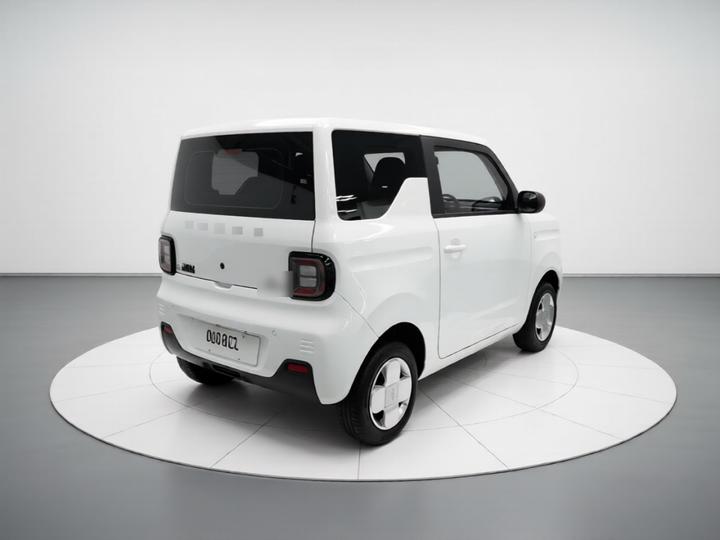 2024 Panda mini 200km Endurance Bear photo 6