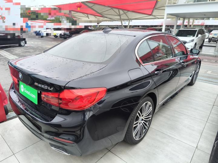 5 Series 2019 530Li Leading M Sport Package photo 4