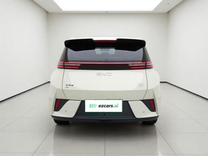 Seagull 2025 ADAS 305km photo 3