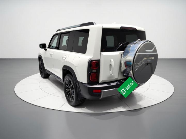 EV 2024 Hi4 102 Pro photo 4