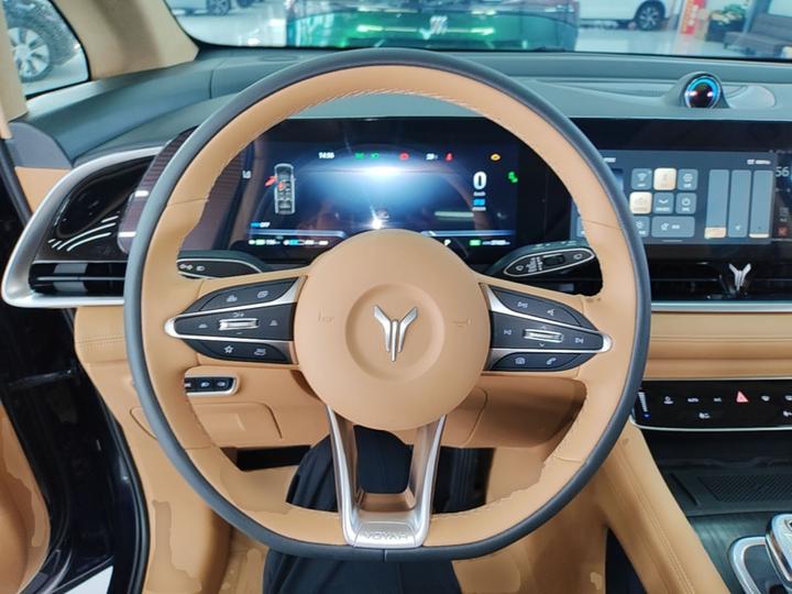 Voyah Dreamer 2024 PHEV Extended Range Flagship photo 6