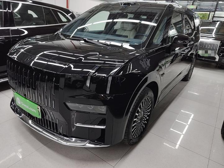 009 2024 6-Seater Executive AWD 108kWh
