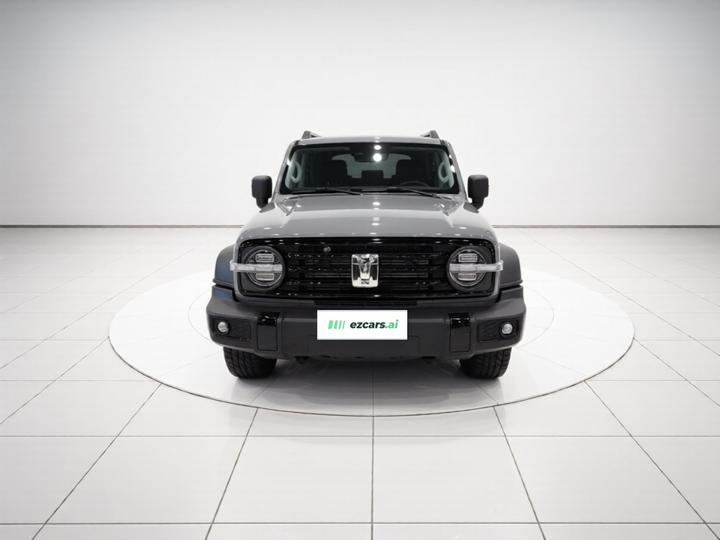 300 2021 Off-road 2.0T Conqueror photo 2