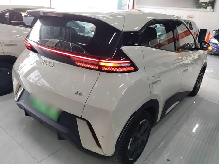 Seagull 2024 Honor 305km photo 6