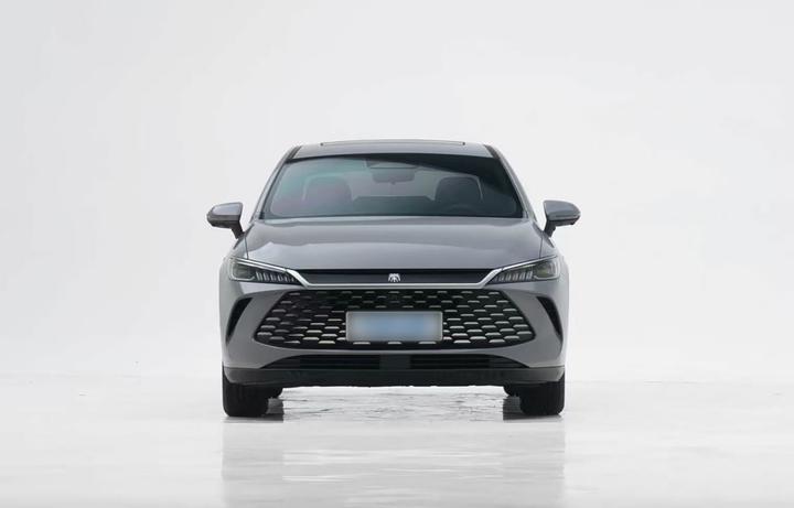 Qin PLUS 2025 EV ADAS 510KM Progressive photo 2