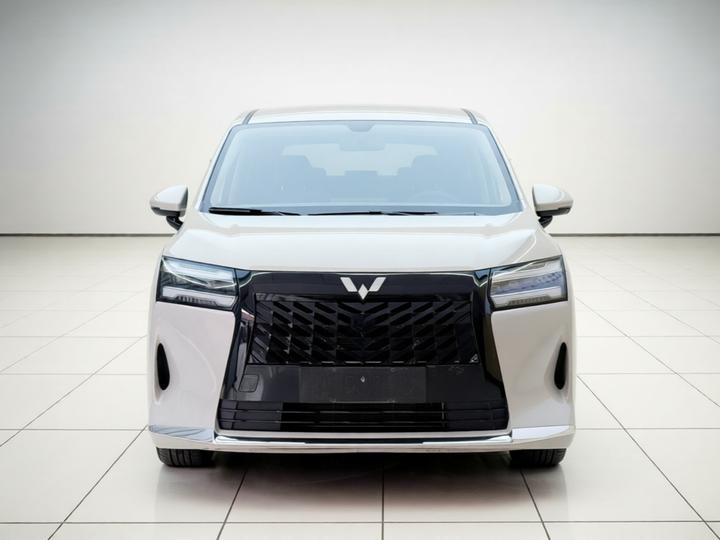 730 EV 2025 125km Luxury photo 2