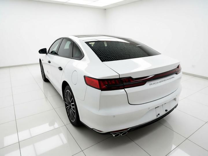 Han 2020 DM AWD Performance Luxury photo 4
