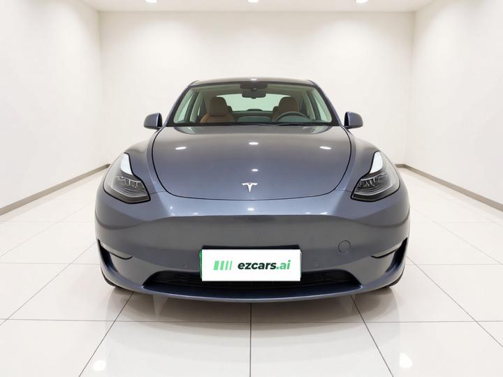 Model Y 2021 Standard Range RWD photo 2