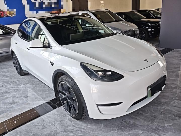 Model Y 2021 Long Range AWD 3D7 photo 3