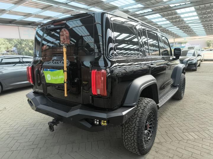 300 2023 Off-road 2.0T Conqueror photo 4