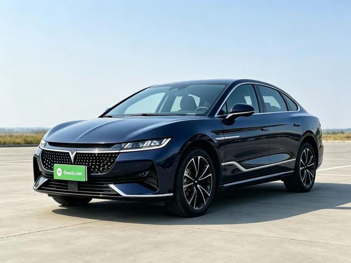 Voyah Passion 2024 PHEV AWD Extended Range Flagship