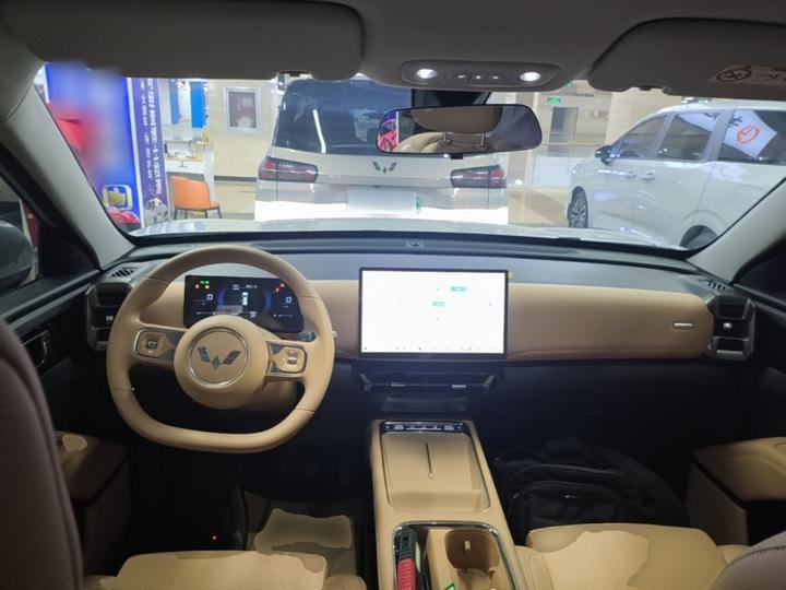 560 EV 2026 125km Luxury photo 5
