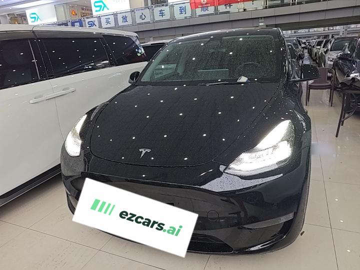 Model Y 2021 Standard Range RWD photo 2