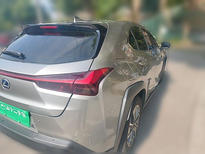 UX EV 2020 300e photo 6