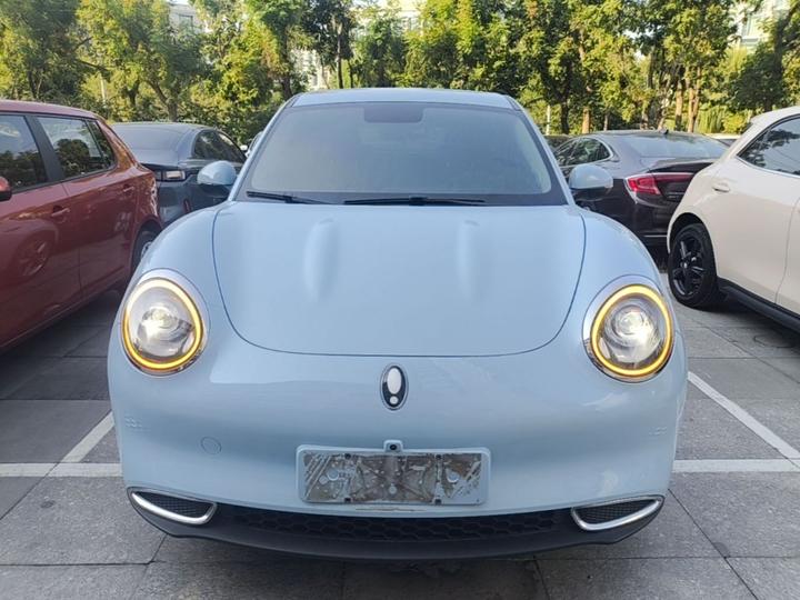 Good Cat 2022 400km Standard Range Luxury NCM photo 2