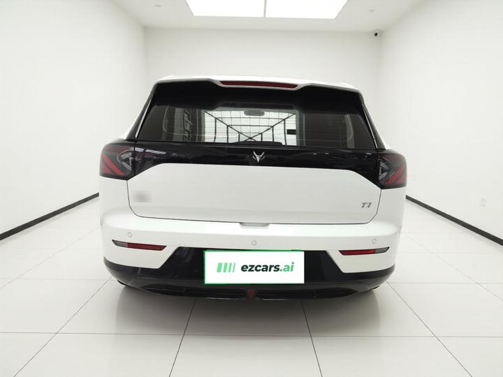 ARCFOX T1 2025 425 PLUS photo 5