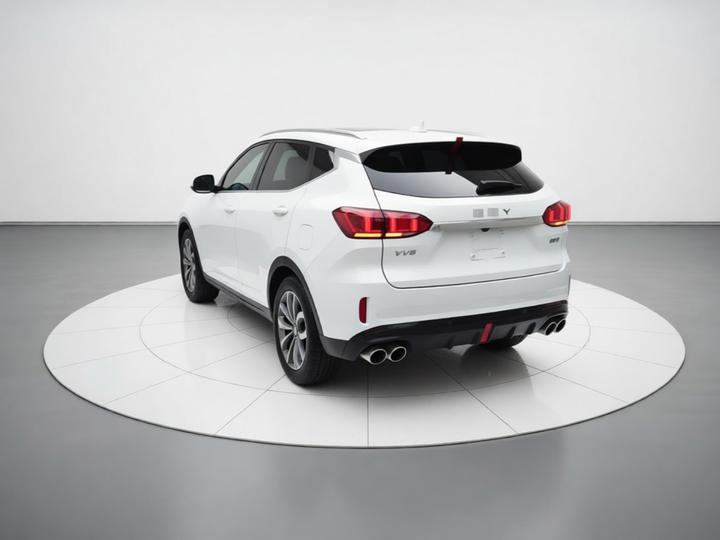 VV6 2018 2.0T AWD Flagship China V photo 4