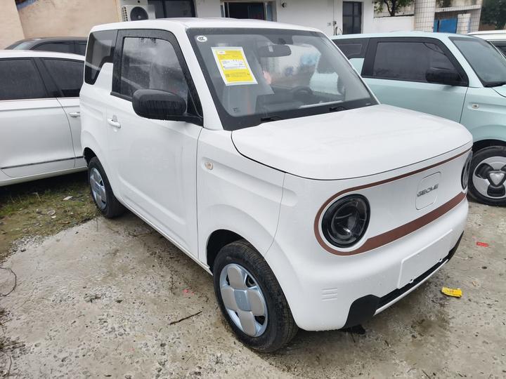 2024 Panda mini 200km Endurance Bear photo 3