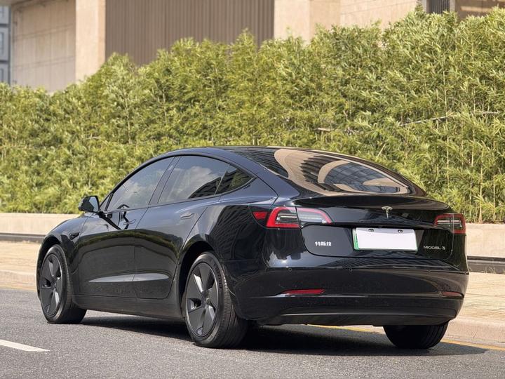 Model 3 2022 RWD photo 4