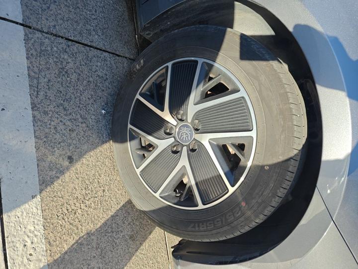 Qin L 2024 DM-i 80KM photo 8