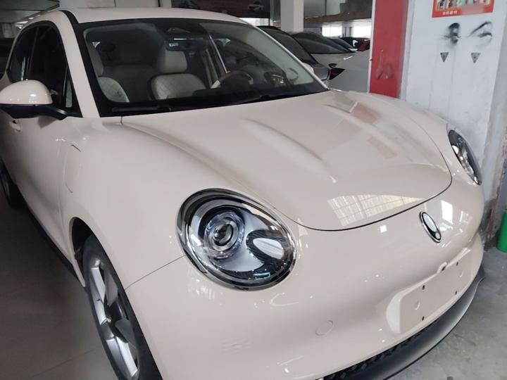 Good Cat 2023 401km Standard Range Noble LFP photo 3