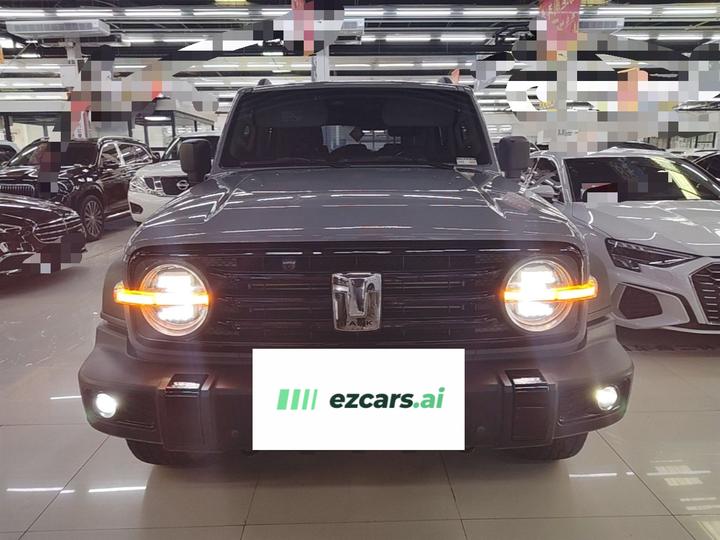 300 2021 Off-road 2.0T photo 2