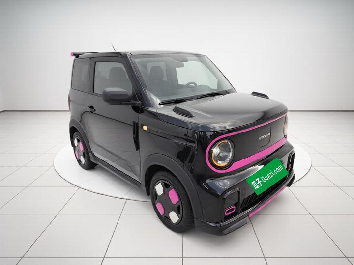 2025 210km Panda photo 3
