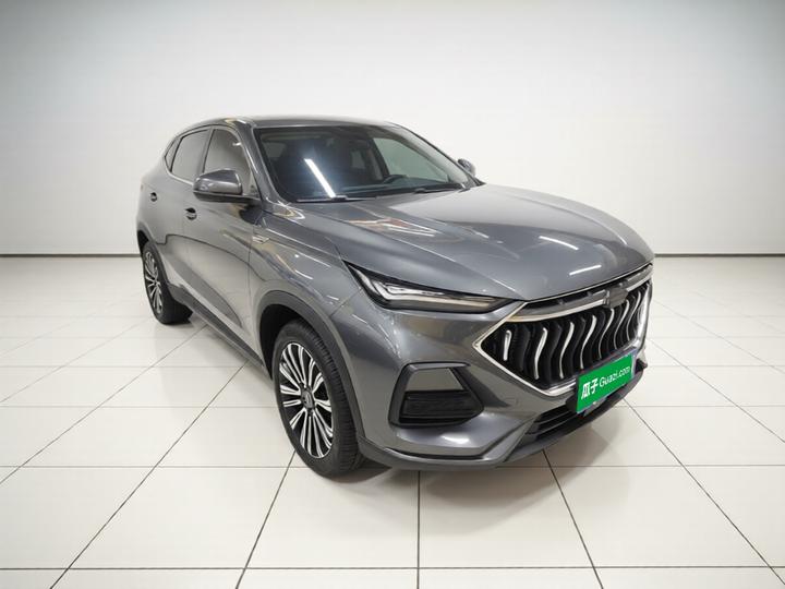X5 2023 Enjoy 1.5T DCT Luxury photo 3