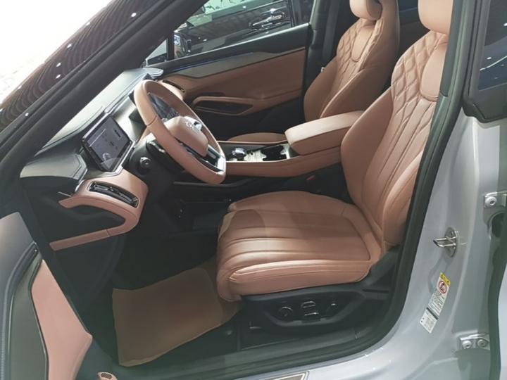 Song L EV 2025 ADAS 550km Excellence photo 6