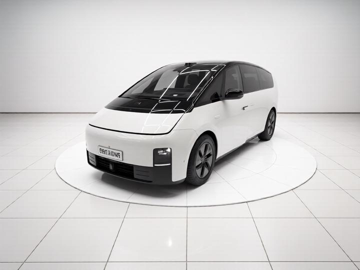 Li MEGA 2025 Home Family Special