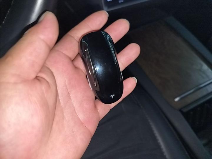 2016 Model X 75D photo 8