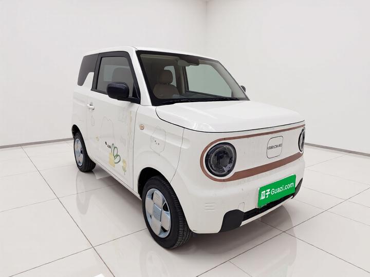 2024 Panda mini 200km Endurance Bear photo 3