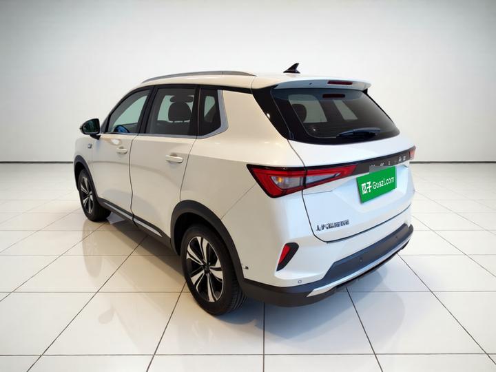 Wuling 2021 1.5T MT photo 4