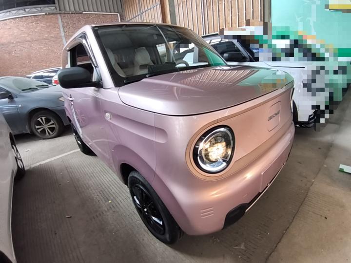 2023 Panda mini 200km Endurance Bear photo 3