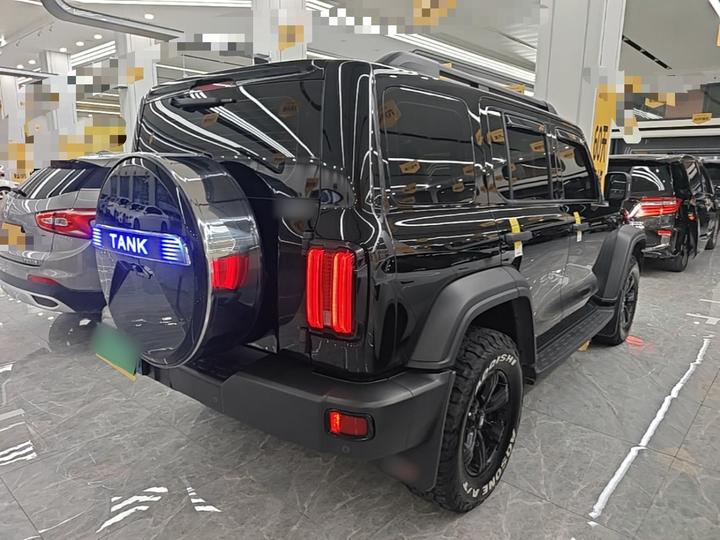 300 2023 Off-road 2.0T photo 6