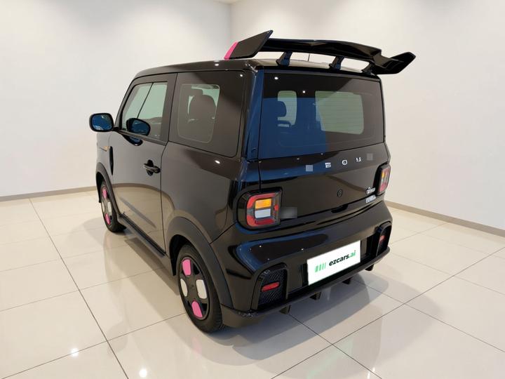 2025 210km Panda photo 4