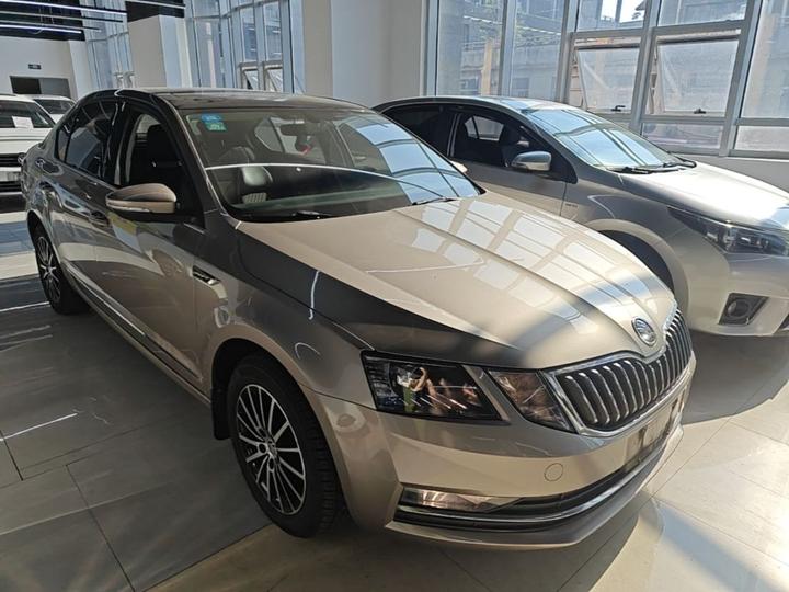 Octavia 2019 TSI230 DSG Luxury China V photo 3