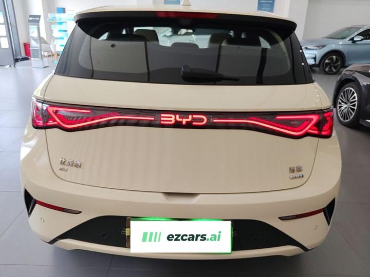 Dolphin 2025 ADAS 520km photo 5