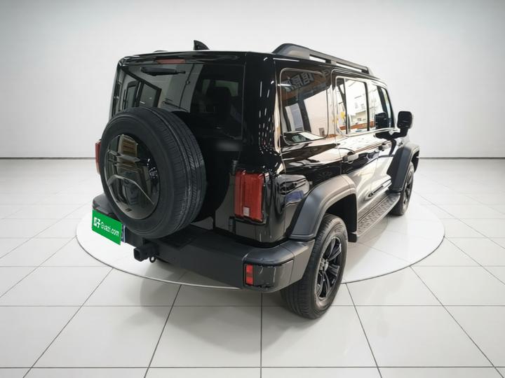 300 2024 2.0T Conqueror photo 6