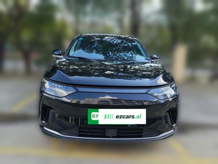 Leapmotor C11 2021 Performance photo 2