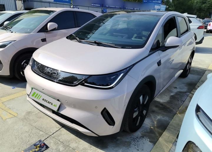 Dolphin 2025 ADAS 410km Fashion