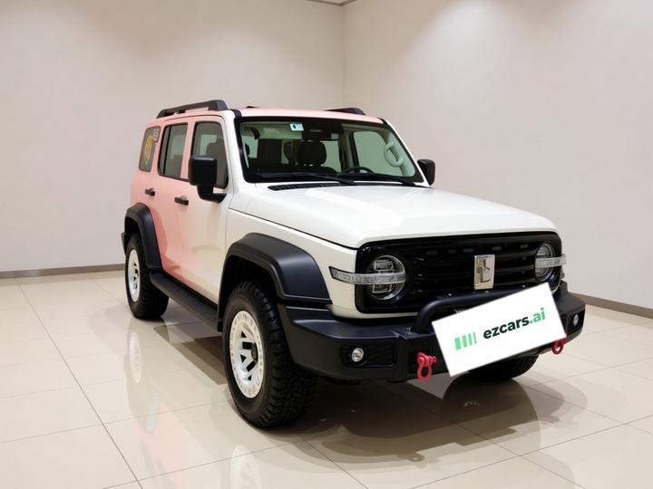 300 2021 Off-road 2.0T Conqueror photo 3