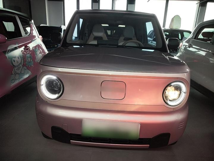 2024 Panda mini 200km Endurance Bear photo 2