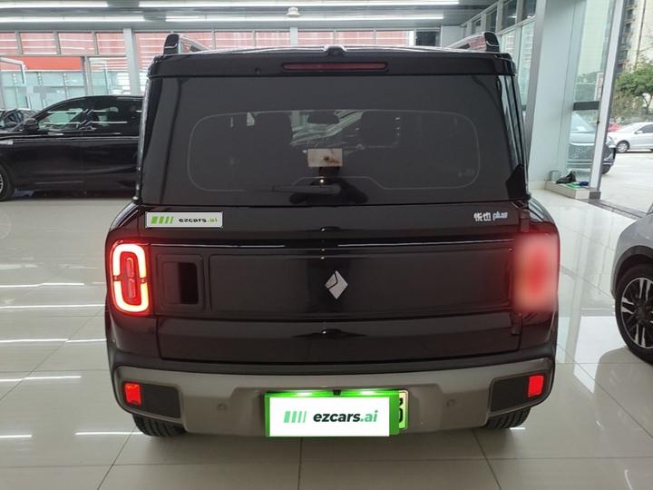 Plus 2026 301km Flagship photo 5