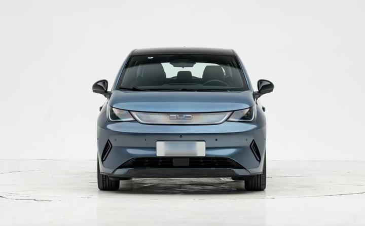 Dolphin 2025 ADAS 410km Fashion photo 6