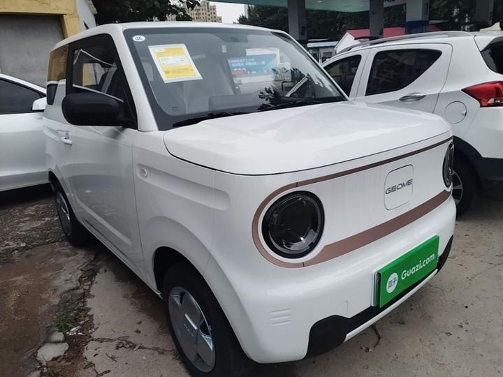 2024 Panda mini 200km Endurance Bear photo 3