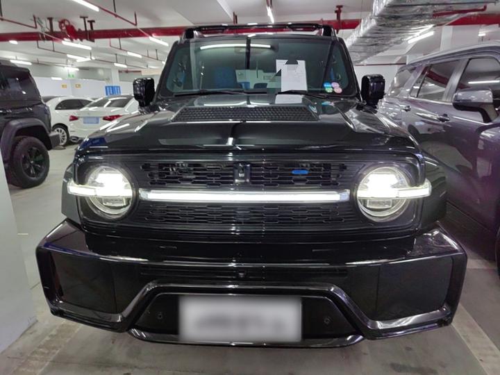 Co-created Tank 300 2023 2.0T photo 2
